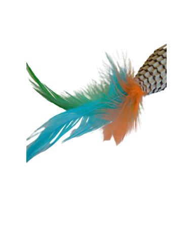 Giochi Carta Ondulata . Giochi Per Gatti