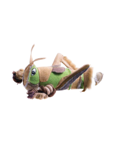 Grillo Con Corda . Giochi Per Cani