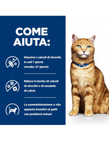 HILL'S Feline C/D Multicare KG.3. Dietetico per gatti.