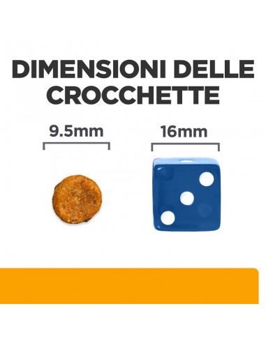 HILL'S Feline C/D Multicare KG.3. Dietetico per gatti.