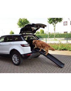 Walky Ramp- Accessori Per Cani