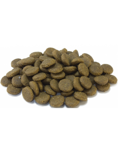 Arquivet Dog Puppy Junior Puppy Maxi  kg 3. Cibo Secco Per cuccioli