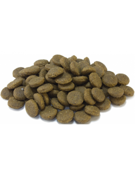 Arquivet Dog Puppy Junior Puppy Maxi  kg 3. Cibo Secco Per cuccioli
