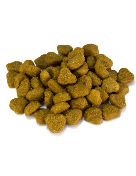 Arquivet Dog Adult Agnello e Riso kg 3. Cibo Secco Per Cani
