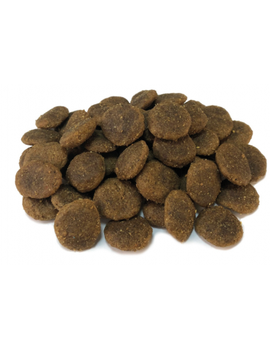 Arquivet Dog Grain Free Tacchino kg 12. Cibo Secco Per Cani