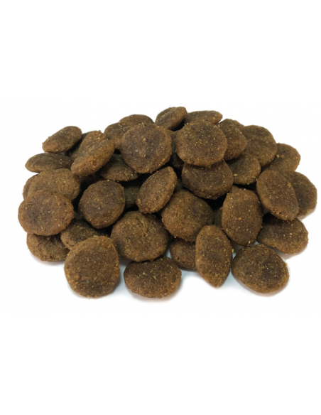Arquivet Dog Grain Free Tacchino kg 12. Cibo Secco Per Cani