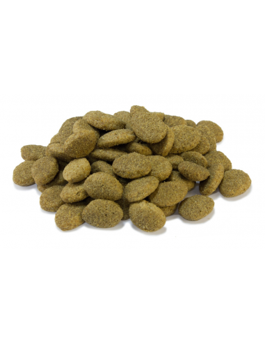 Arquivet Dog Senior Light kg 15. Cibo Secco Per Cani