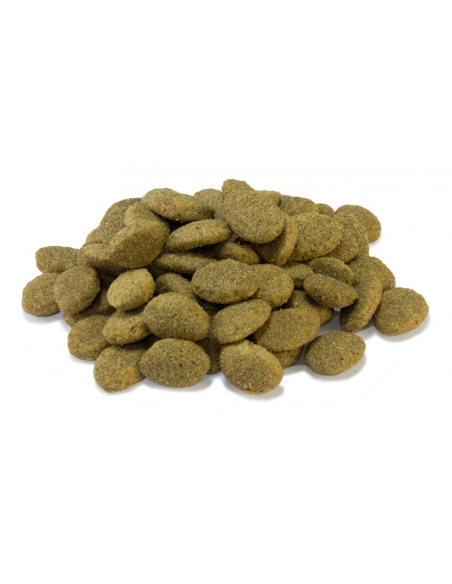 Arquivet Dog Senior Light kg 15. Cibo Secco Per Cani