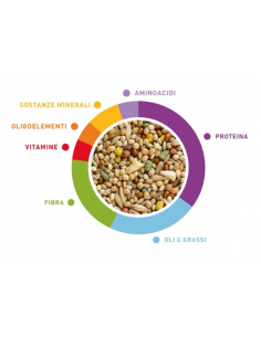 Wellness Cocorite kg 1 (Budgies)Padovan . mangime Per Uccelli 2