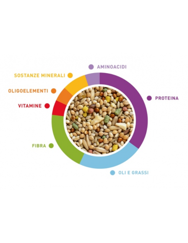 Wellness Cocorite kg 1 (Budgies)Padovan . mangime Per Uccelli