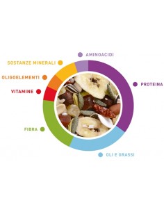 Wellness Pappagalli kg 2,5 Padovan. Mangime Per Uccelli 2