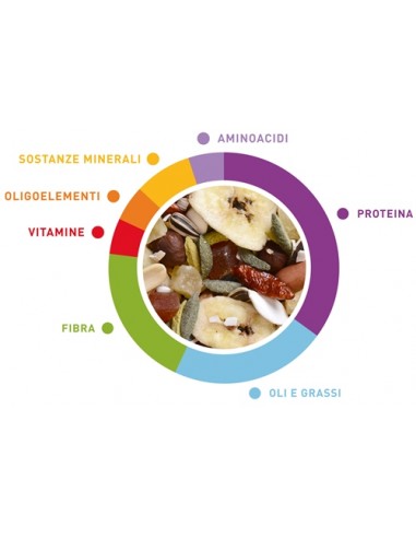 Wellness Pappagalli kg 2,5 Padovan. Mangime Per Uccelli