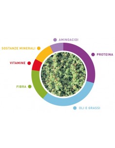 Padovan Melange Vegetable gr 300. Mangime Per Uccelli 2