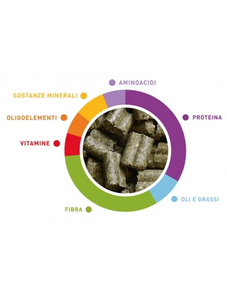 Wellness Conigli Nani Adulti kg 1. Padovan Mangime Per Roditori