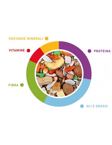 Grandmix Pappagalli gr 600. Mangime Per Uccelli. Padovan