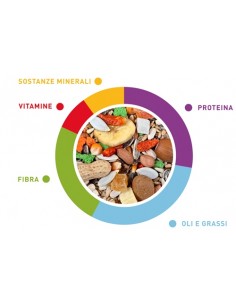 Grandmix Pappagalli kg 2. Mangime Per Uccelli. Padovan 2