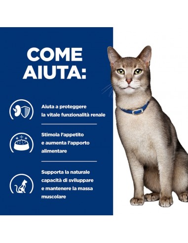 Hill's Feline k/d kg 3. Diete per gatti