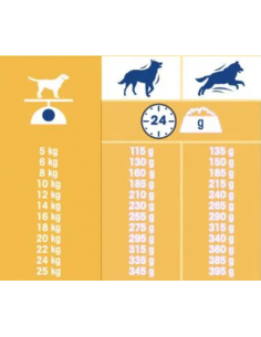 Tonus Dog Chow Classic Pollo kg 10. Mangime Secco Per Cani 2