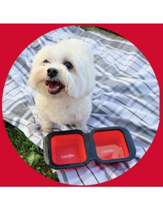 Ciotola Doppia Quadrata Silicone misura Small. Mangiatoie Per cani 2