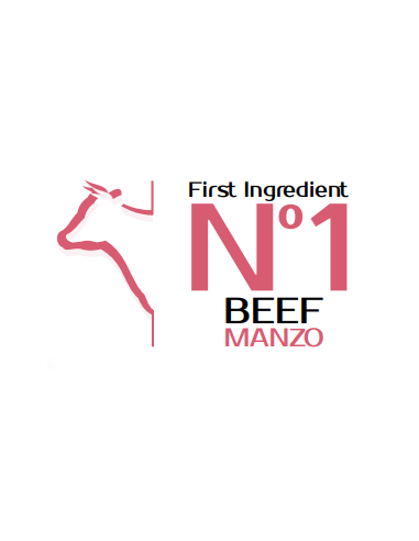 Monge Adult Manzo e Riso Mono Kg.12. Crocchette Per Cani