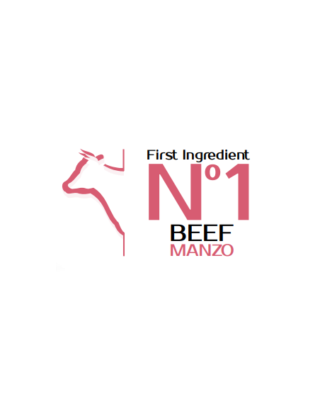 Monge Adult Manzo e Riso Mono Kg.12. Crocchette Per Cani