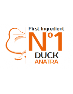 MONGE ANATRA RISO E PATATE KG.2,5 ALL BREED 2