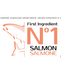 MONGE SALMONE E RISO ALL BREEDS KG.12 2