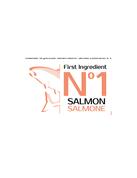 Monge Salmone e Riso All Breeds Kg 12. Crocchette Per Cani
