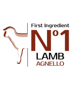 Monge Mini Adult Agnello Riso e Patate kg 7,5. Crocchette Per Cani 2