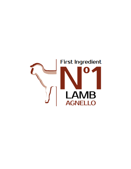 Monge Natural Puppy & Junior con Agnello e Riso gr 800. Crocchette Per Cani- Puppy