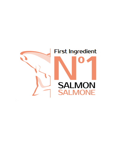 Monge Puppy Salmone e Riso All Breeds .kg 2,5. Crocchette per cani- Puppy