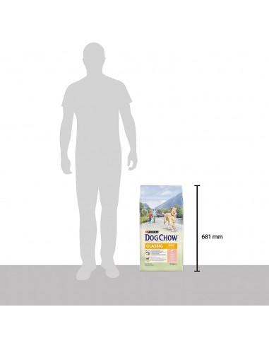 Tonus Dog Chow Classic Salmone kg 10. Mangime Secco Per Cani