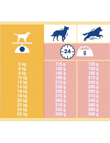 Tonus Dog Chow Classic Salmone kg 10. Mangime Secco Per Cani