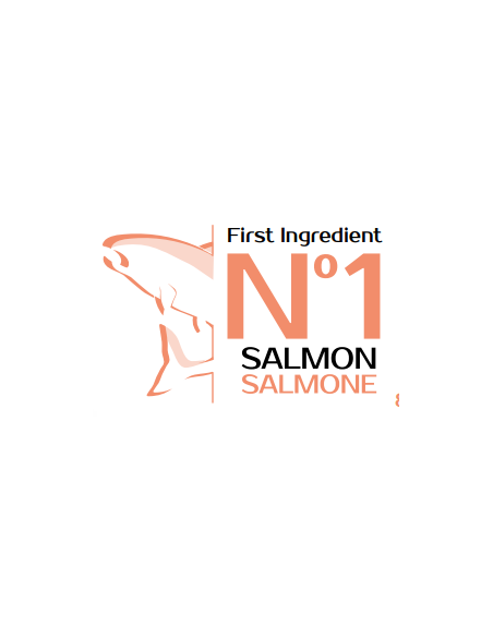 Monge Puppy salmone e Riso Kg 12. All Breed. Mangime Secco Per Cani-Puppy
