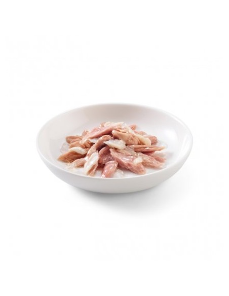 Schesir Cat Busta Tonno Spigola in jelly gr 85. Mangime Umido Per Gatti