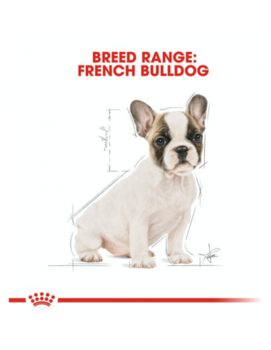 French Bulldog Puppy kg 3. Royal Canin . Puppy