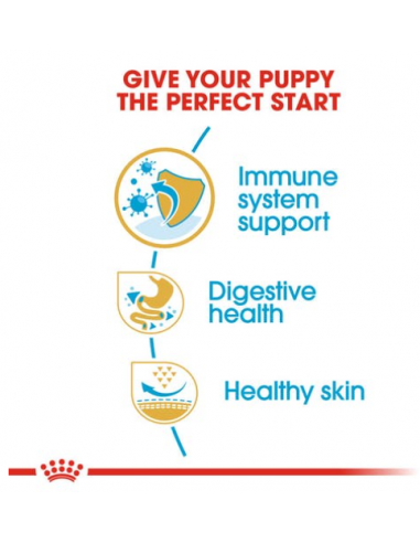 French Bulldog Puppy kg 3. Royal Canin . Puppy