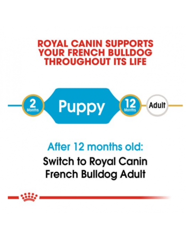 French Bulldog Puppy kg 3. Royal Canin . Puppy