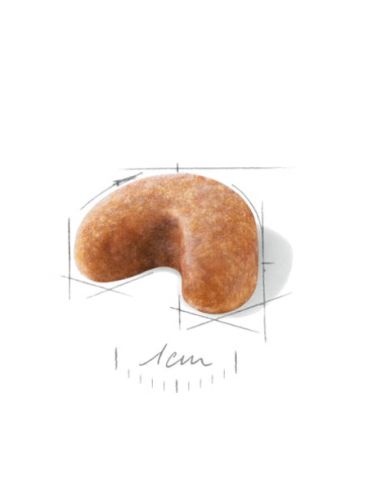 French Bulldog Puppy kg 3. Royal Canin . Puppy