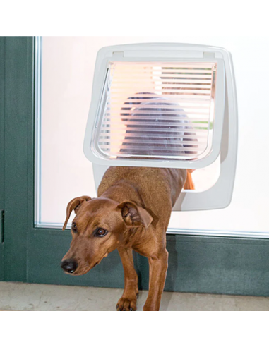 Swing 11 Tunnel Marrone Ferplast . Accessori