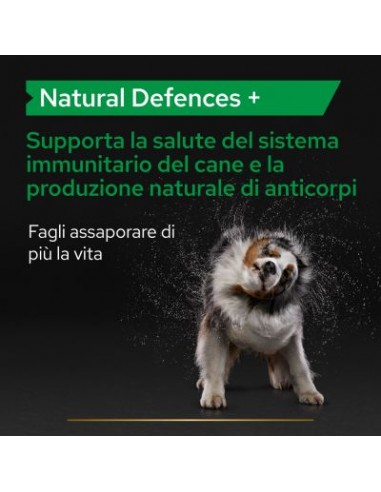 Pro Plan Dog Supplements Natural Defences 45 tavolette