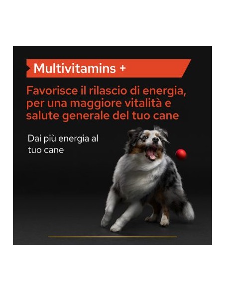 Pro Plan Dog Supplements Multivitamins 45 tavolette. Vitaminici Per Cani
