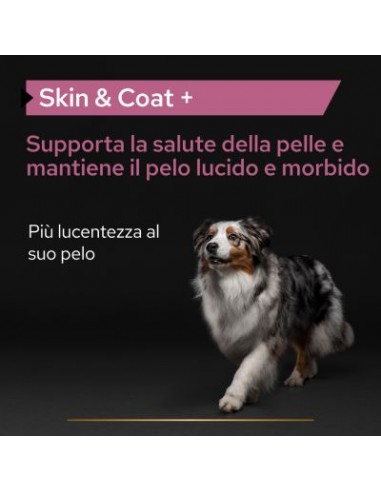 Pro Plan Dog Supplements Skin & Coat ml.250. Vitaminici Per Cani