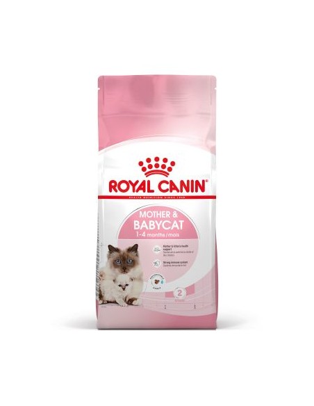 Royal Canin Mother and Baby cat kg 2. Cibo Per Gattini