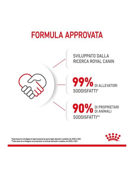 Royal Canin Mother and Baby cat kg 2. Cibo Per Gattini