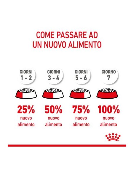 Royal Canin Mother and Baby cat kg 2. Cibo Per Gattini
