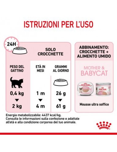 Royal Canin Mother and Baby cat kg 2. Cibo Per Gattini