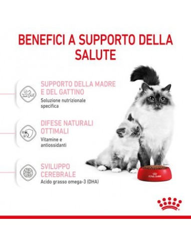 Royal Canin Mother and Baby cat kg 2. Cibo Per Gattini