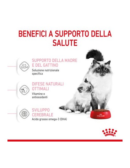 Royal Canin Mother and Baby cat kg 2. Cibo Per Gattini