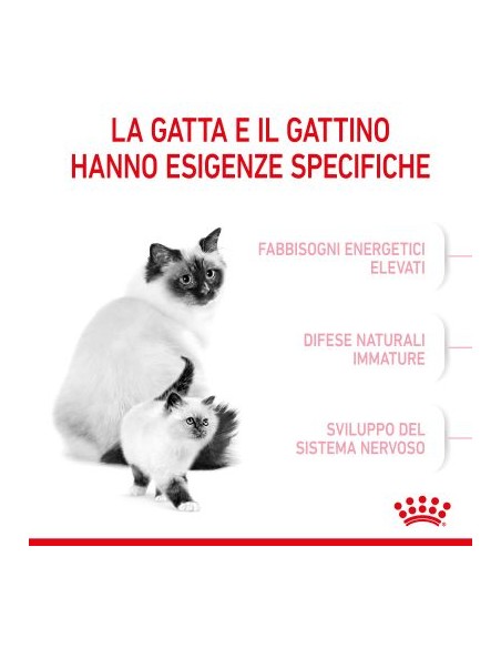 Royal Canin Mother and Baby cat kg 2. Cibo Per Gattini